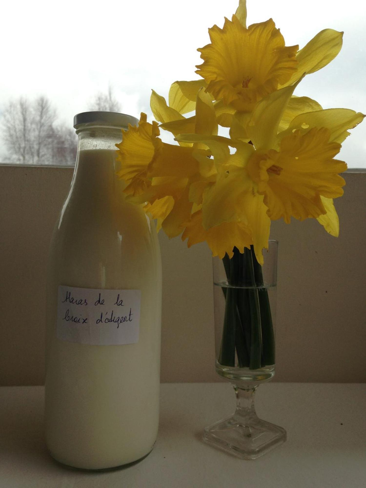 Haras De La Croix D'argent Bed & Breakfast
