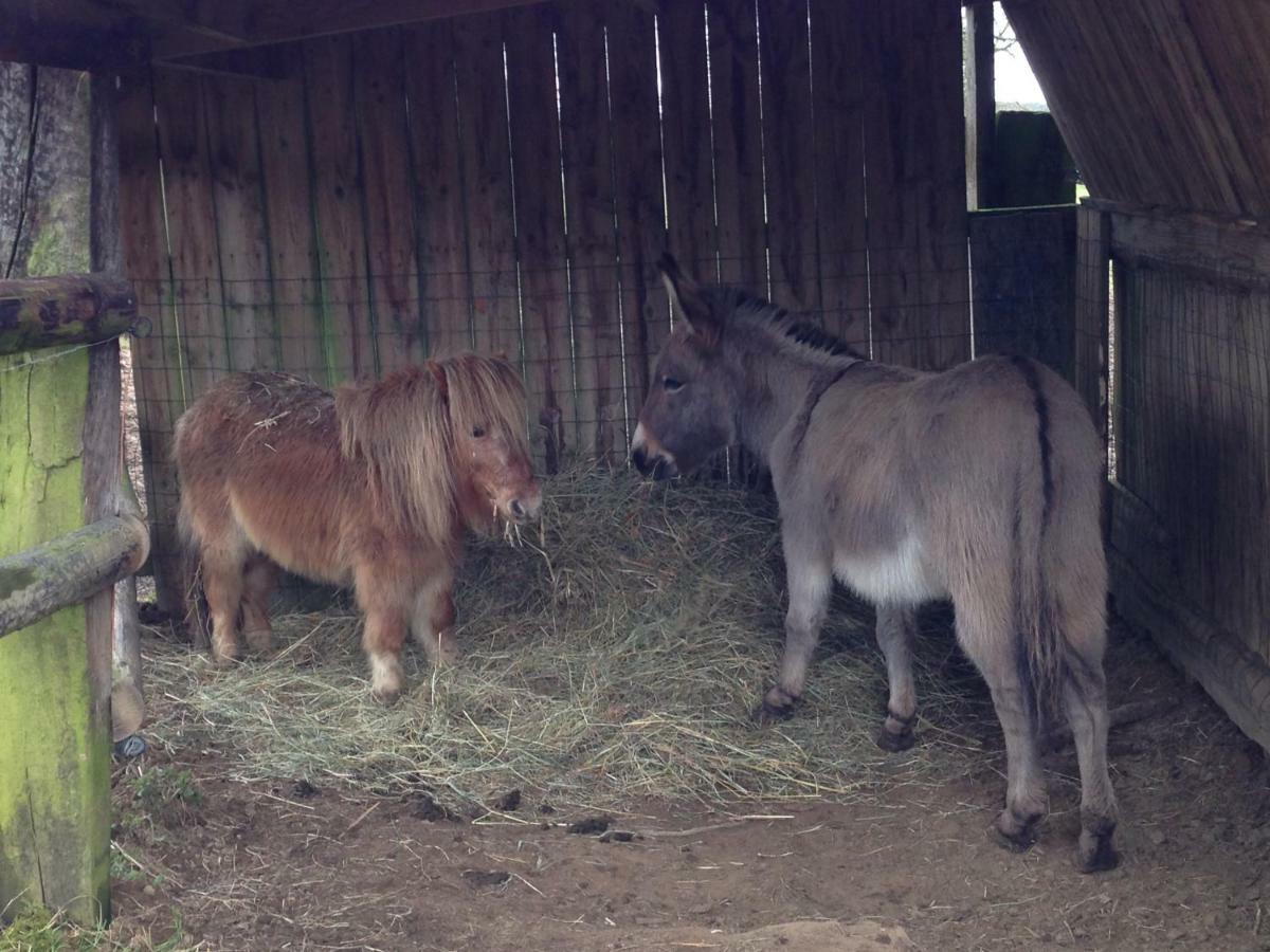 Haras De La Croix D'argent Bed & Breakfast 3*