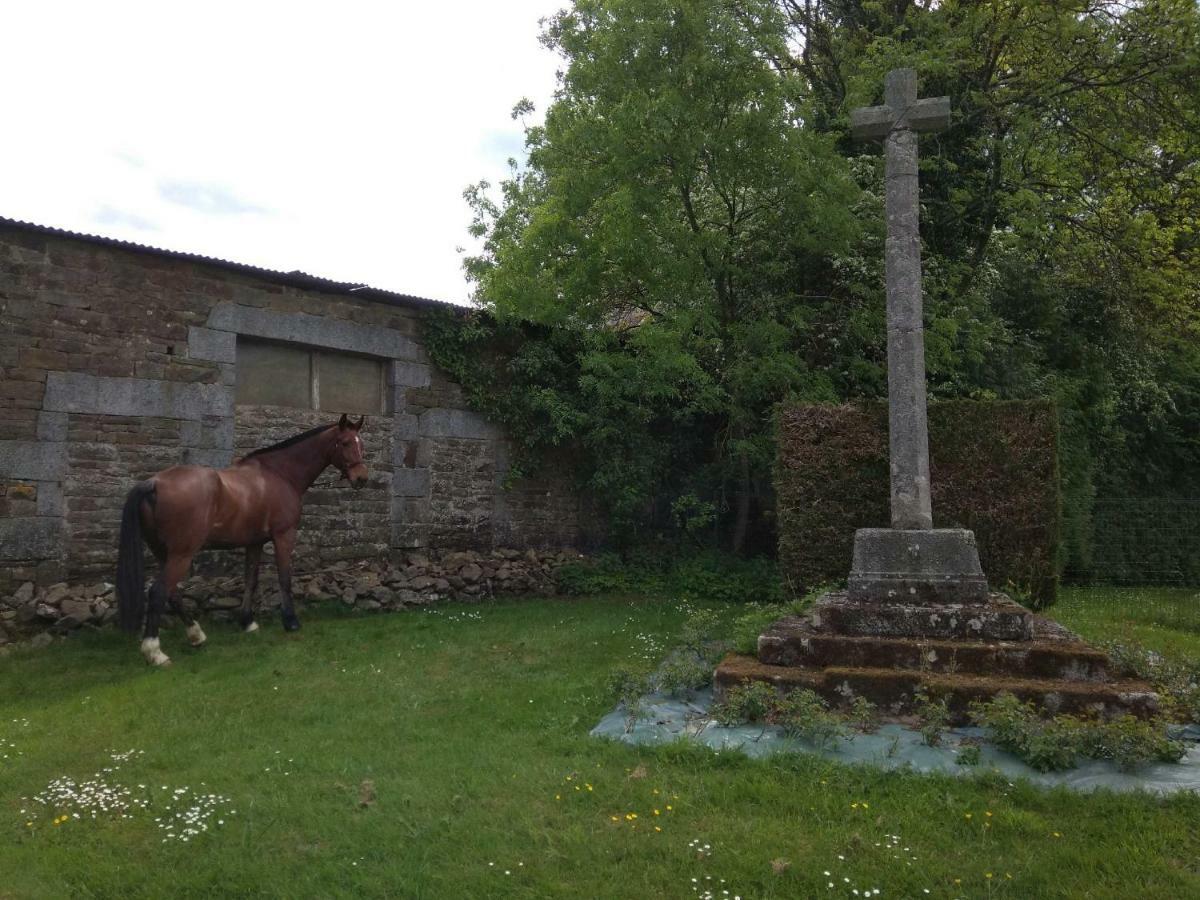 Haras De La Croix D'argent Saint-Sauveur-de-Carrouges