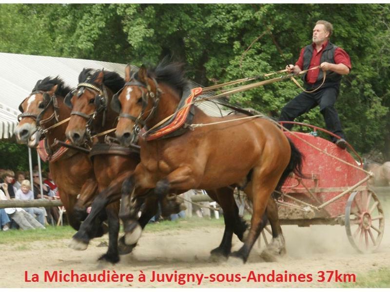 Bed & Breakfast Haras De La Croix D'argent